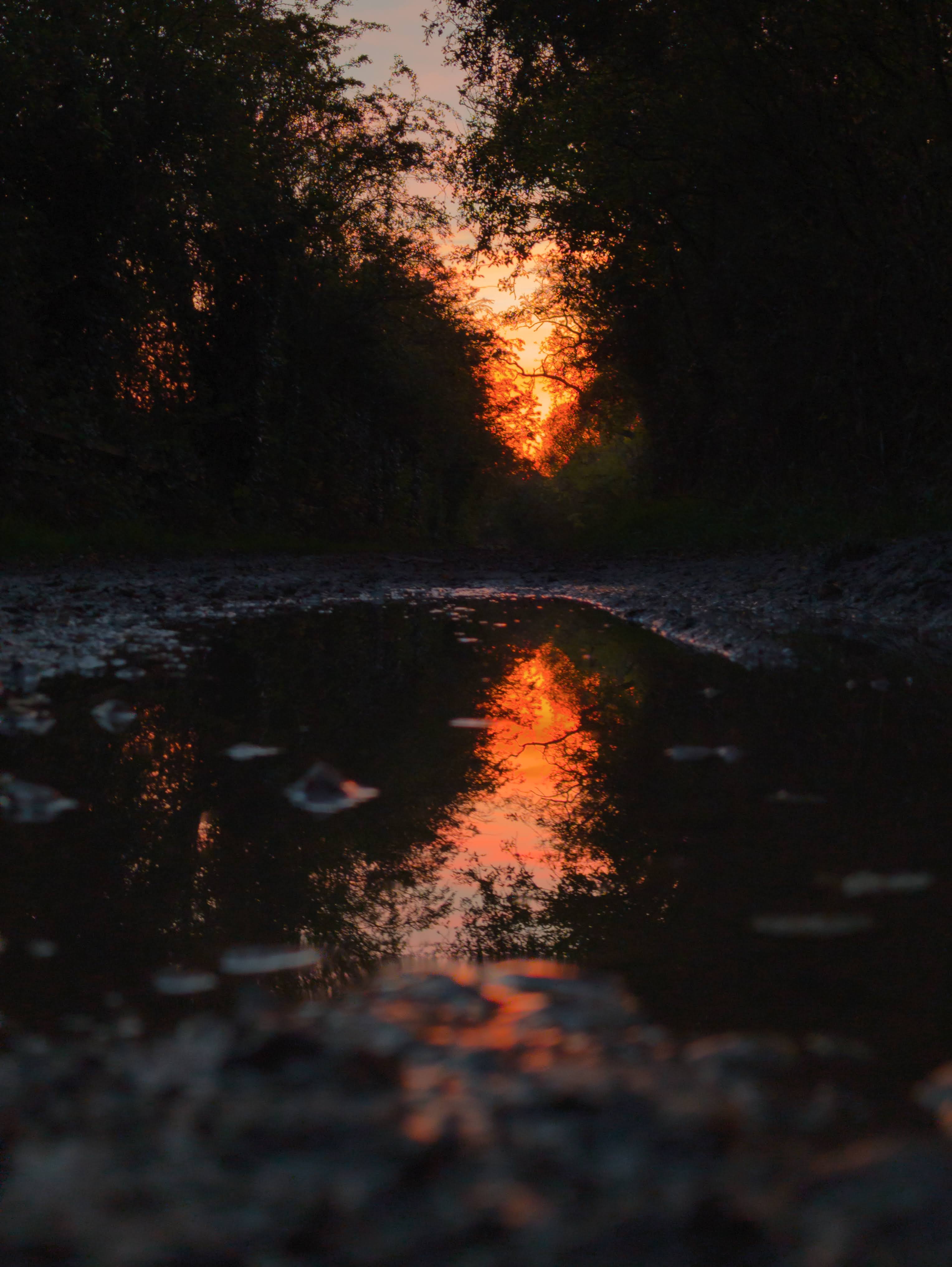 Orange Sunset Reflection Puddle